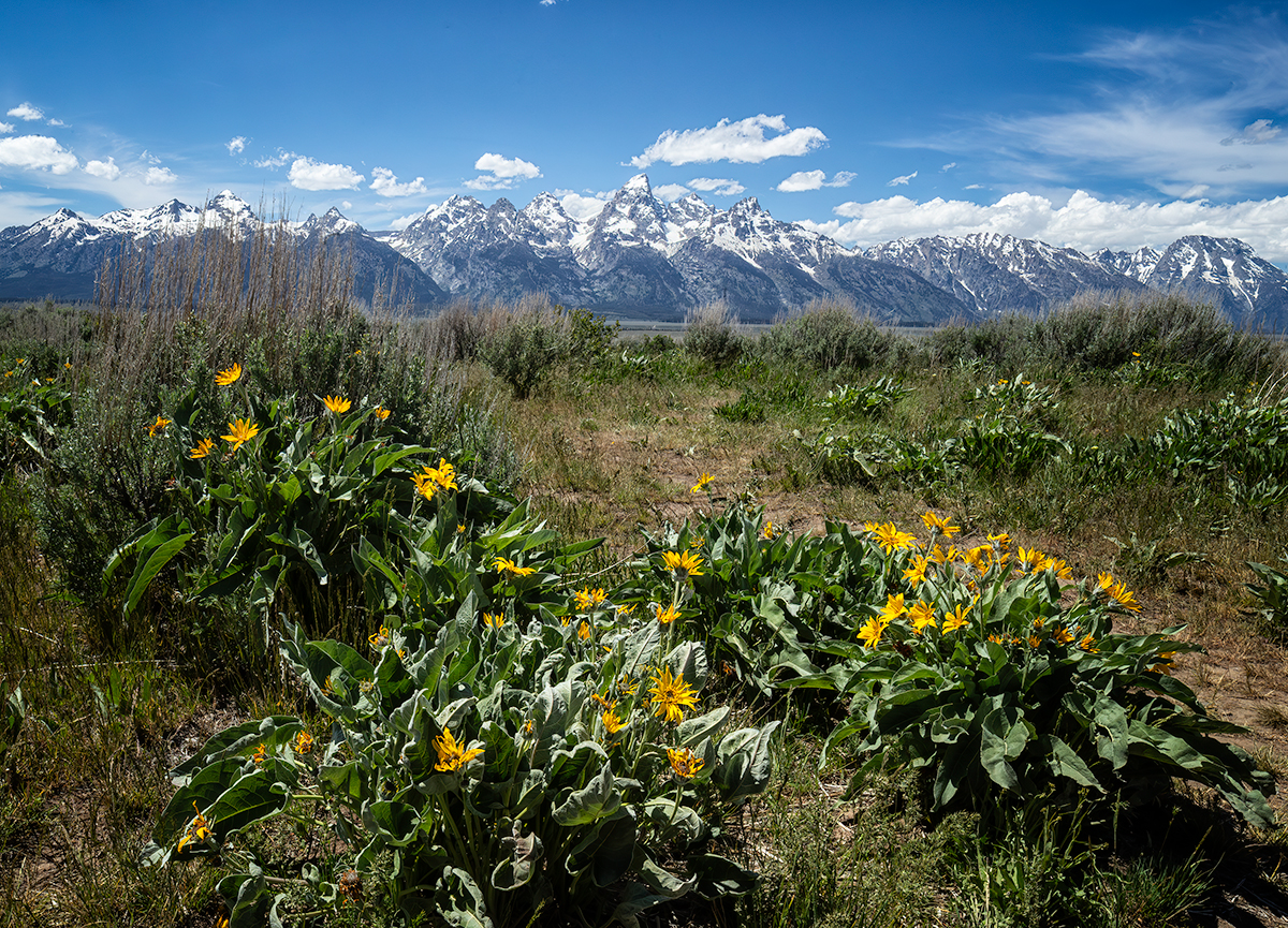 Tetons3ABCropNikCrop2.jpg