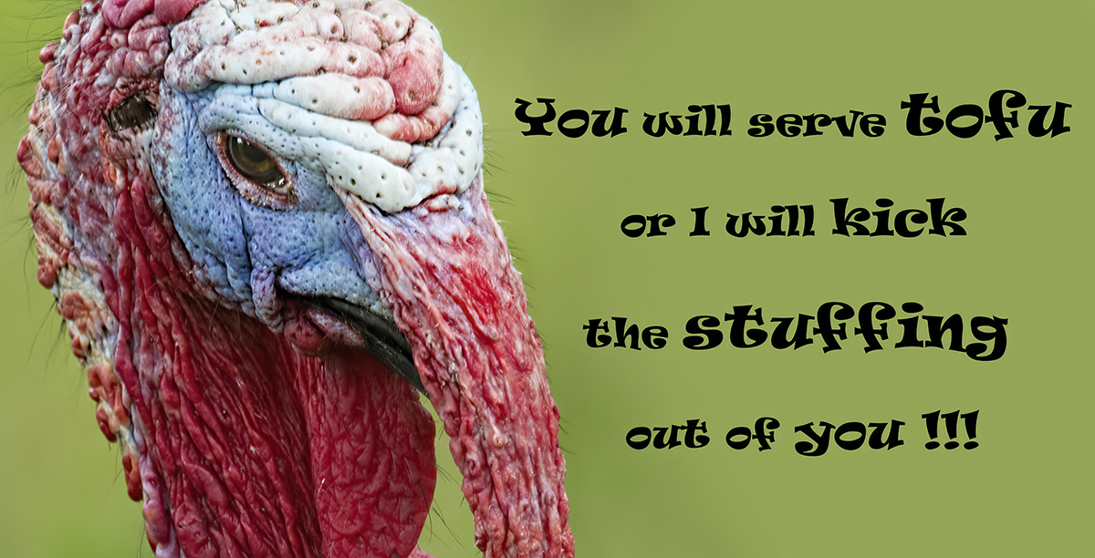 Thanksgiving CArd.jpg
