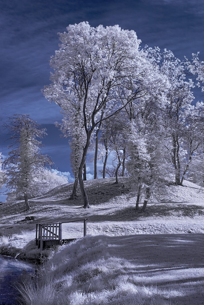 The Gate New.jpg