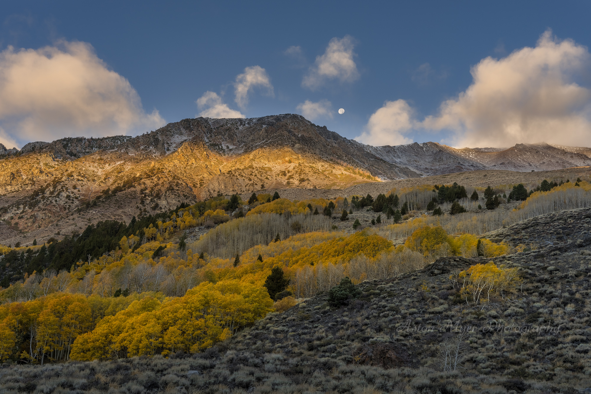 The Moon Sets on Autumn.jpg