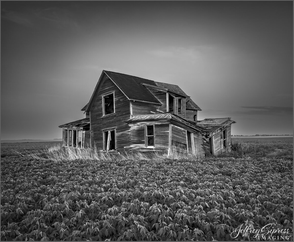 thehouse3bw.jpg