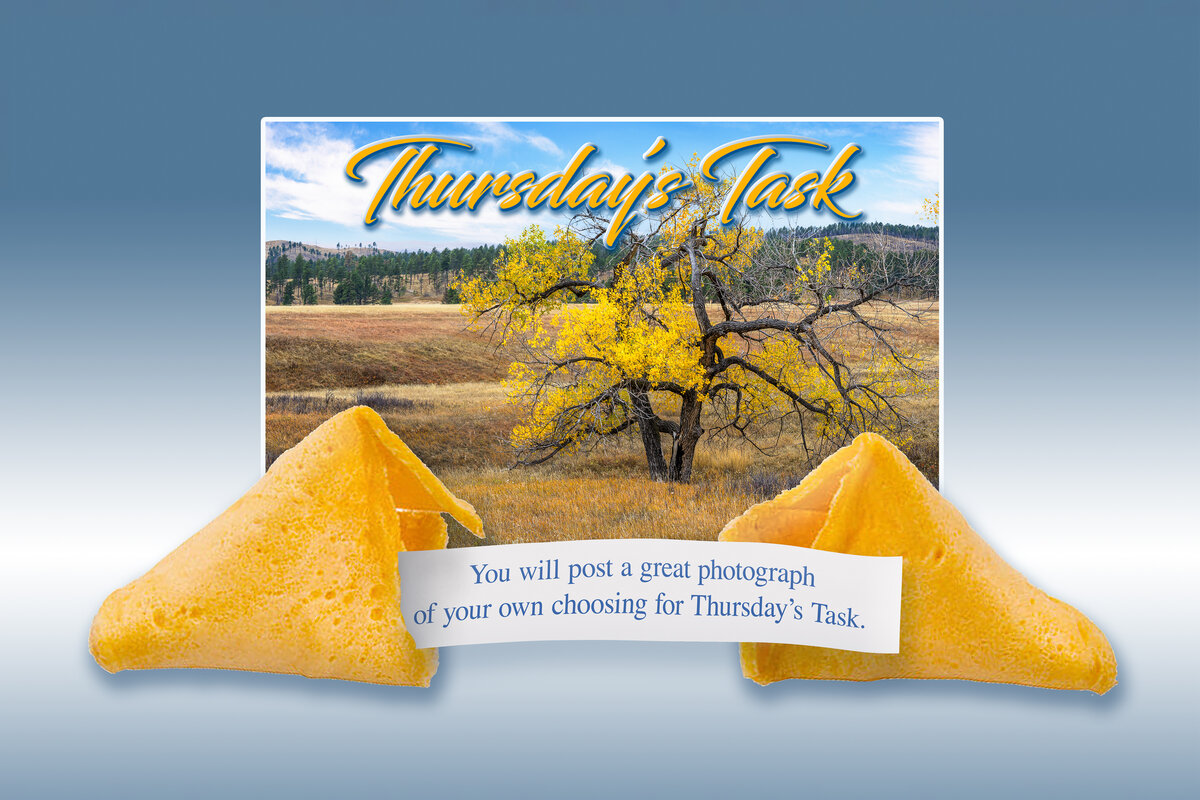 Thursday’s Task 3-30-23-Recovered.jpg