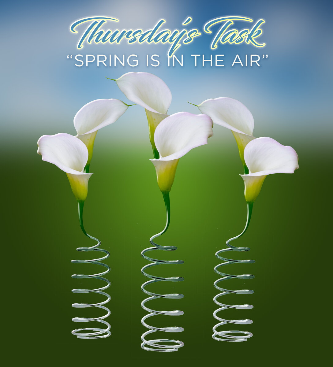 Thursday’s Task 4-6-23 copy.jpg