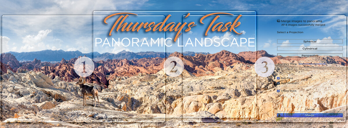 Thursday’s Task 6-2-22.jpg