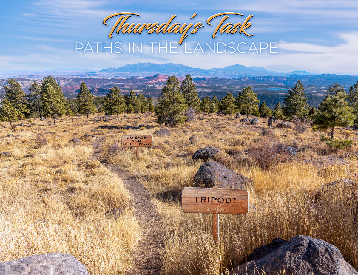 Thursday’s Task 7-7-22.jpg