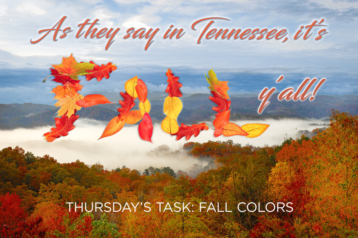 Thursday's Task 10-26-23 new.jpg