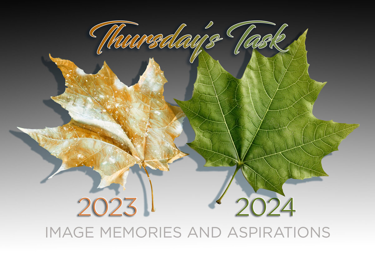 Thursday's Task 12-28-23-edit.jpg