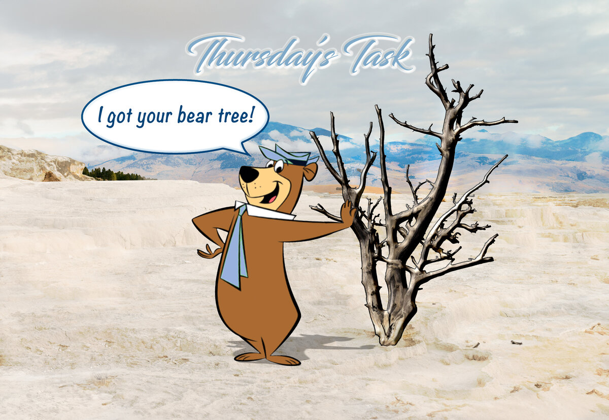 Thursday's Task 2-26-26-2.jpg
