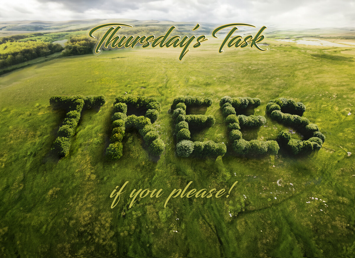Thursday's Task 6-27-24.jpg