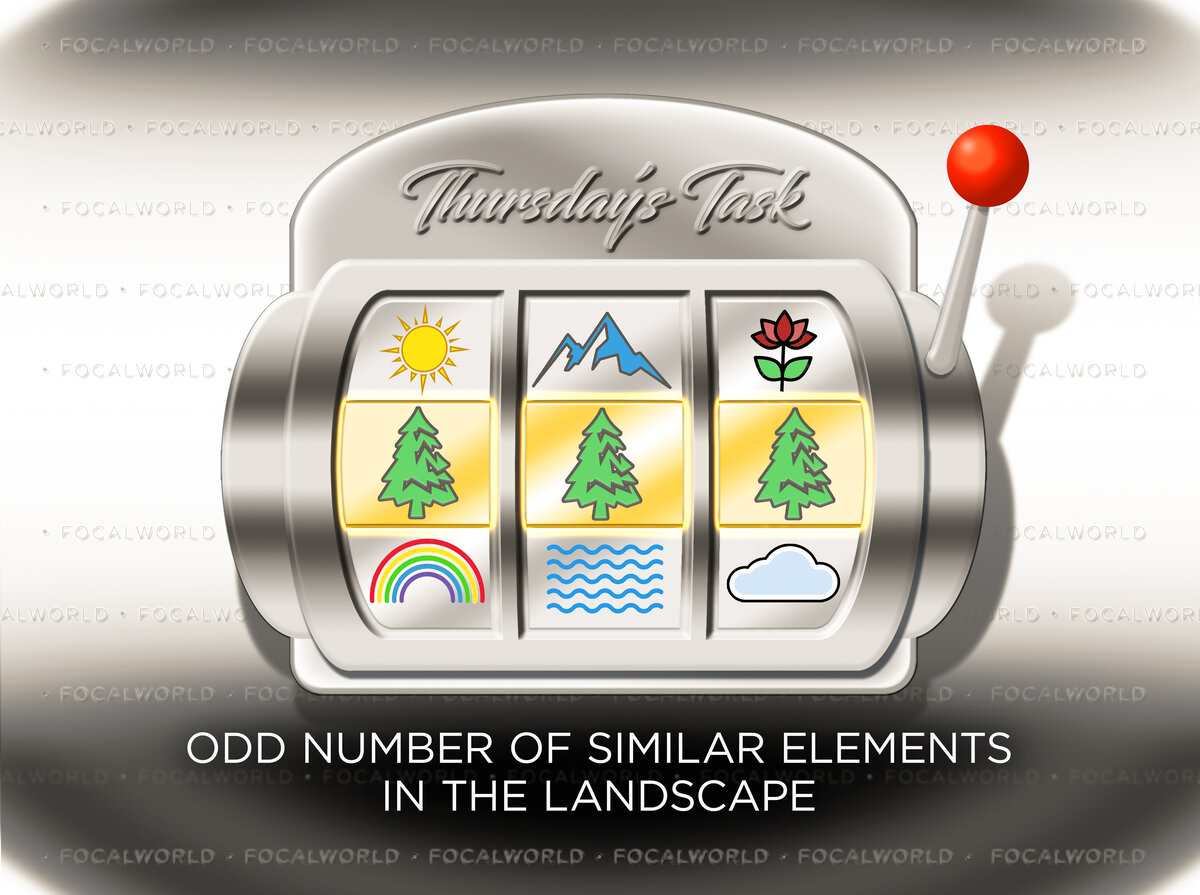 Thursday's Task 6-29-23.jpg