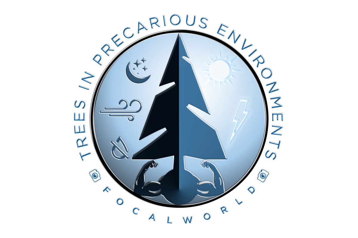 Thursday's Task 7-20-23.jpg