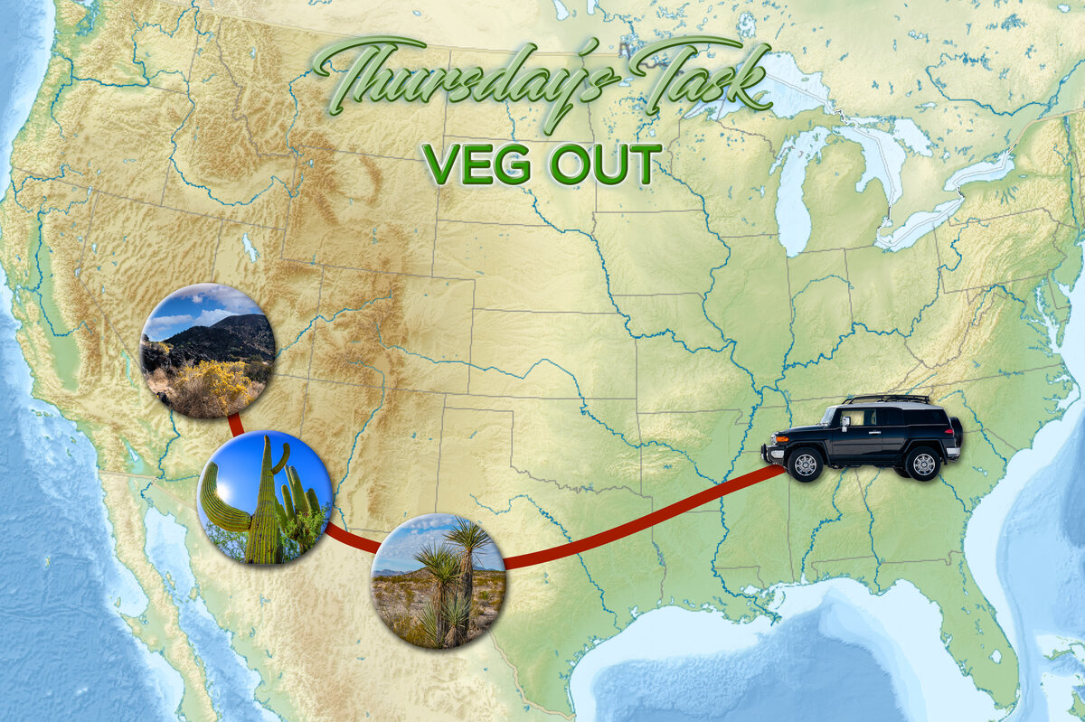 Thursday's Task 9-5-24-2-2-2.jpg