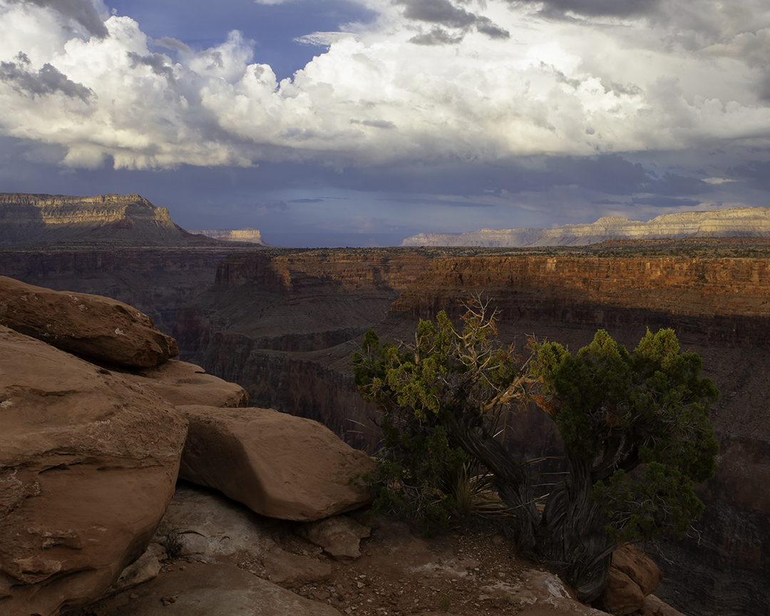 Toroweap Overlook.jpg