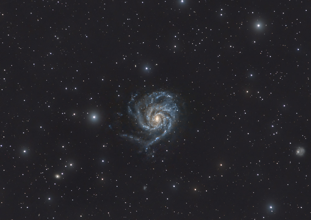 Triangulum_M101_20220531_dw.jpg
