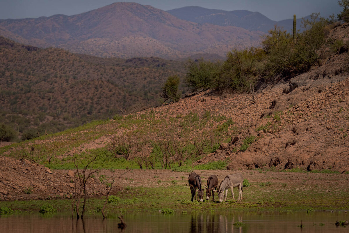 Trio in the Desert-1094-Edit.jpg