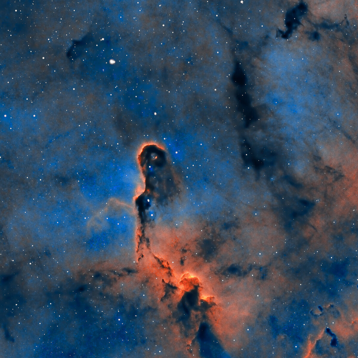 Trunk SHO 1.jpg