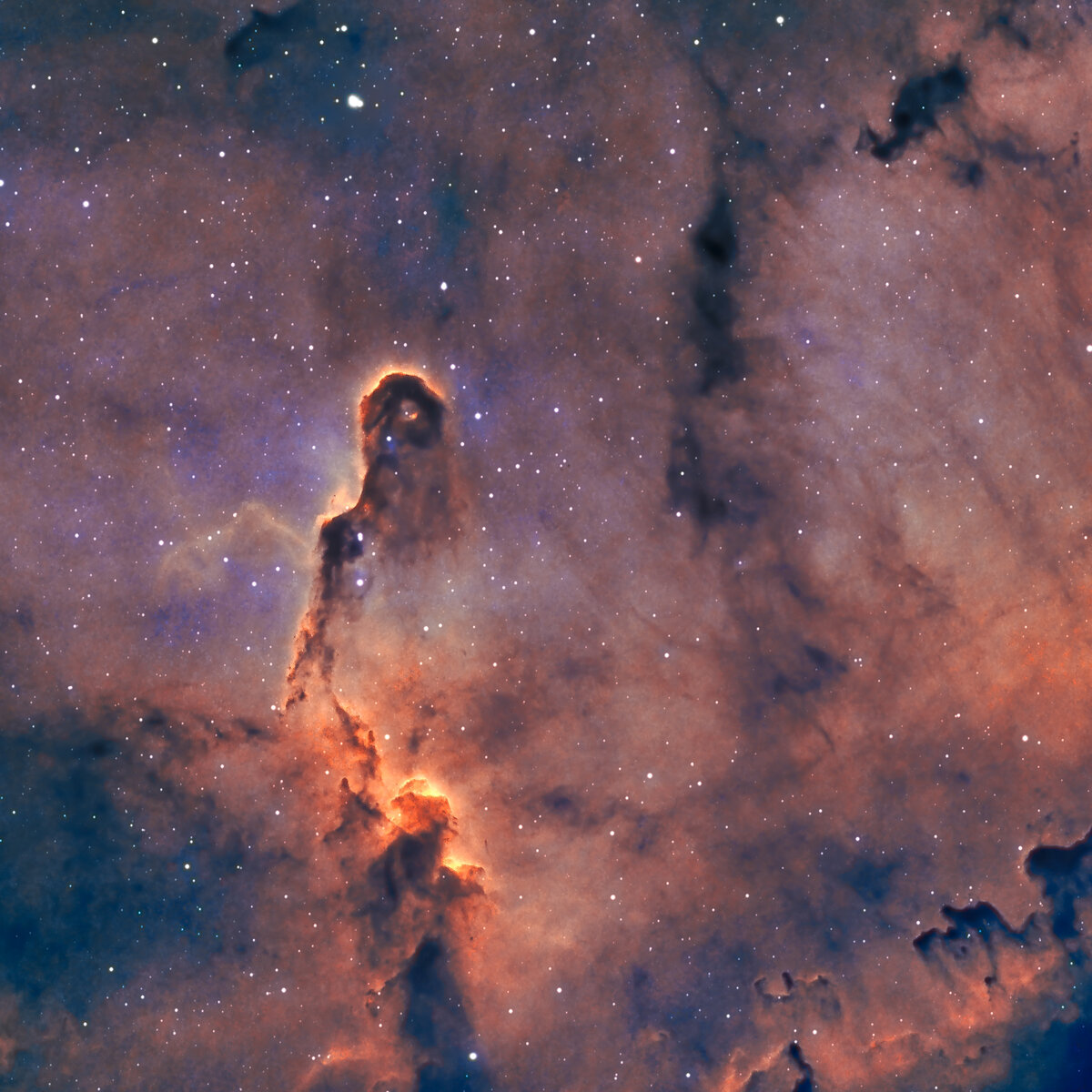 Trunk SHO 5.jpg