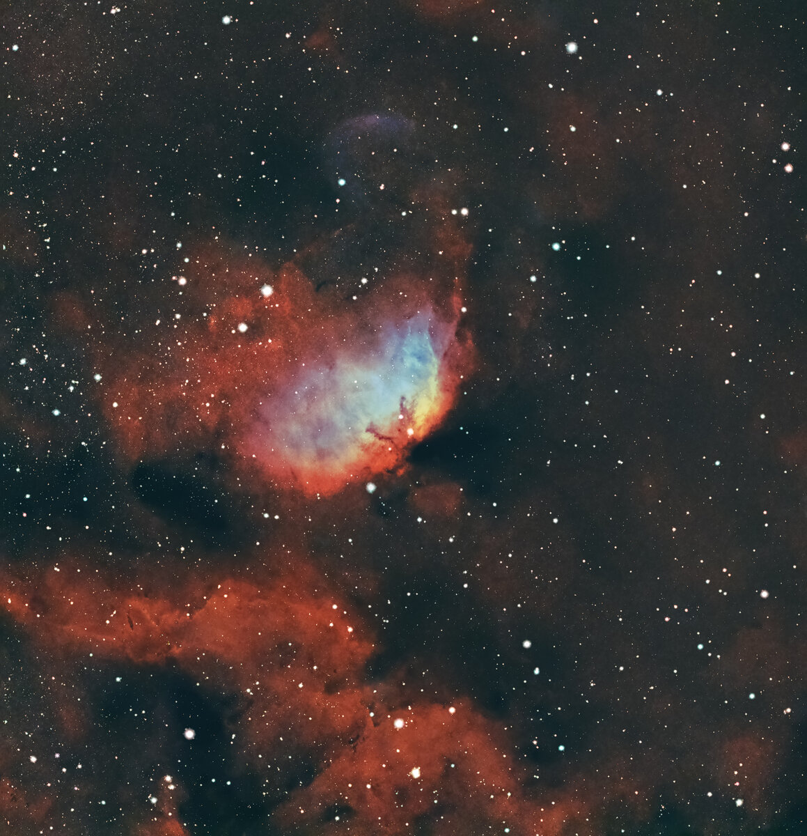 Tulip Nebula SH2-101 HOO3.jpg