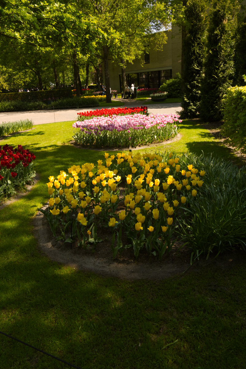 Tulip_Festival_34.jpg