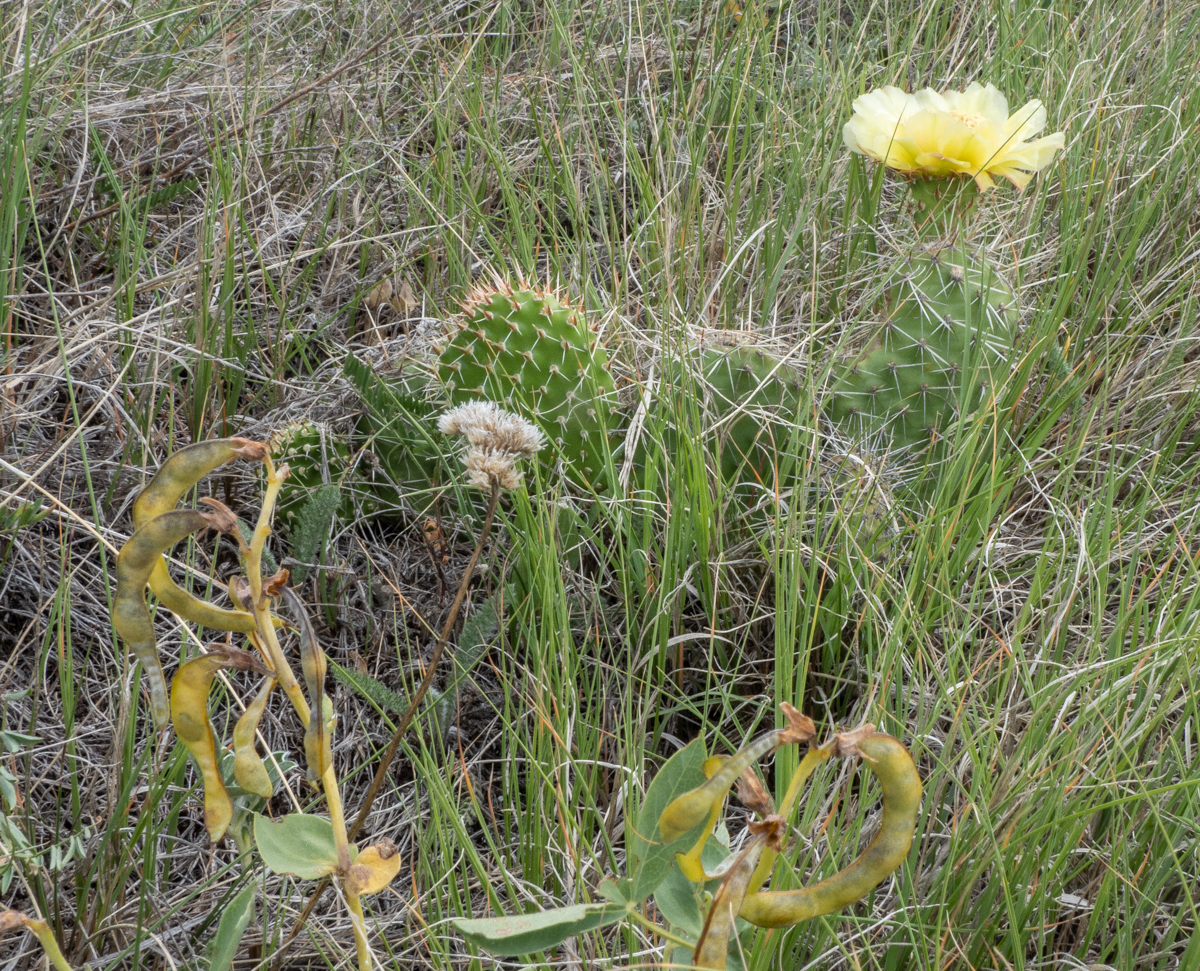 TW221635.jpg