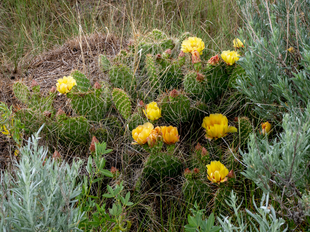 TW221647.jpg