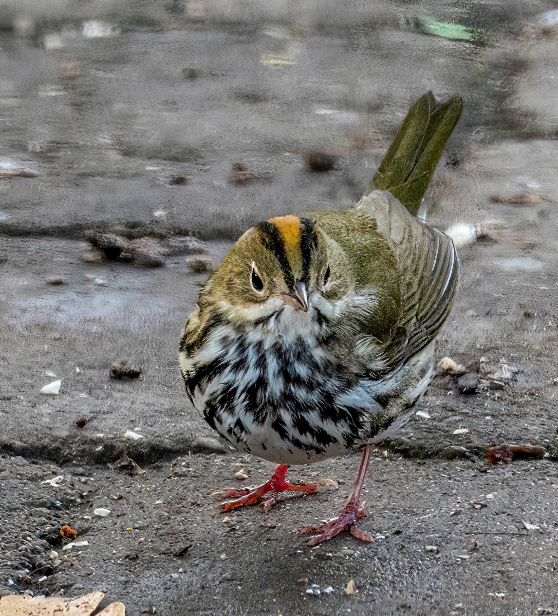 TW241260-Edit.jpg