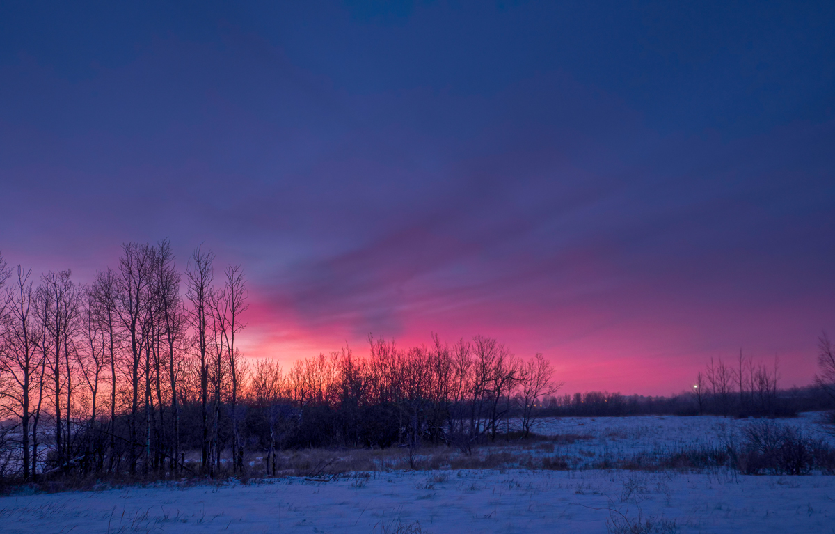 TW294074-Edit.jpg