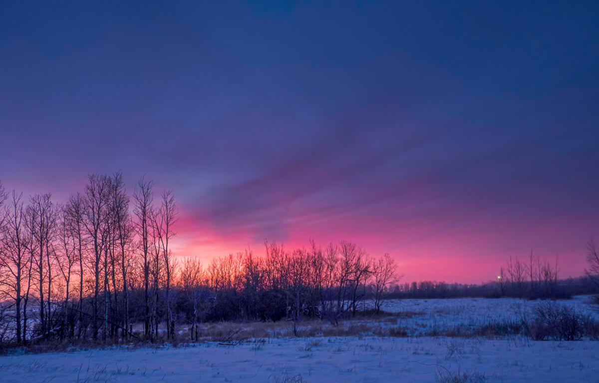 TW294074-Edit.jpg