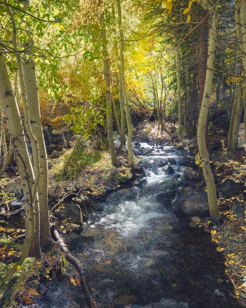Twin-Lakes-Creek-20x16-Canon-Semi-Gloss-RC-3-sharpened.jpeg