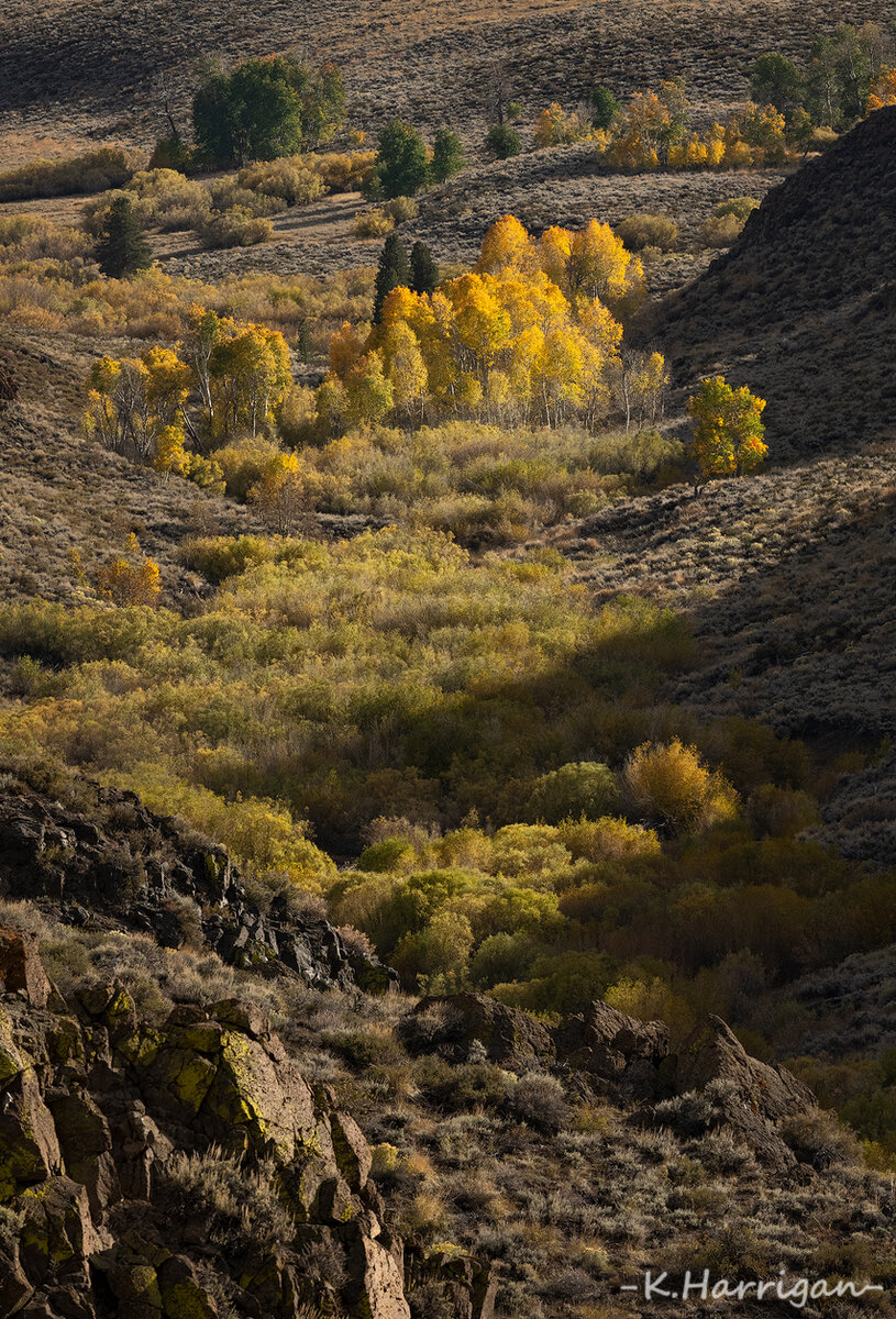 Untitled-1-sharpened.jpg