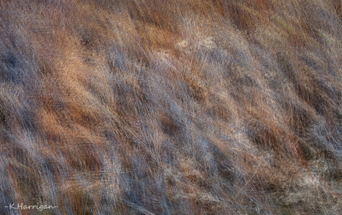 Untitled-10.jpg