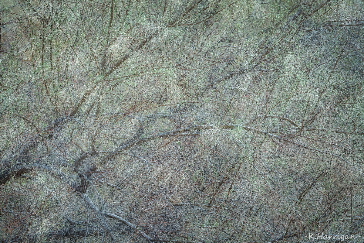 Untitled-20 1.jpg