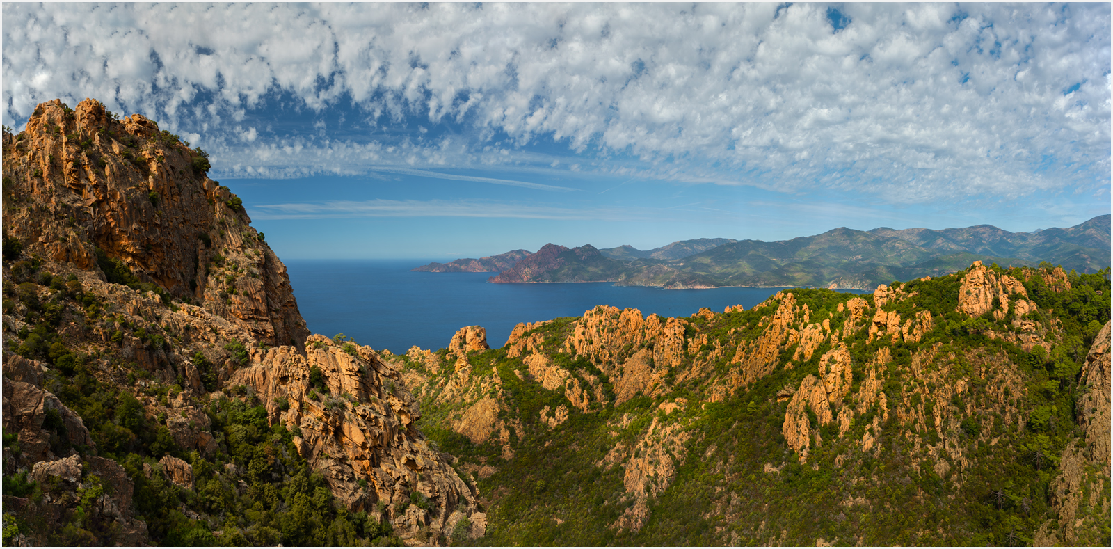 Untitled_Panorama-1.jpg