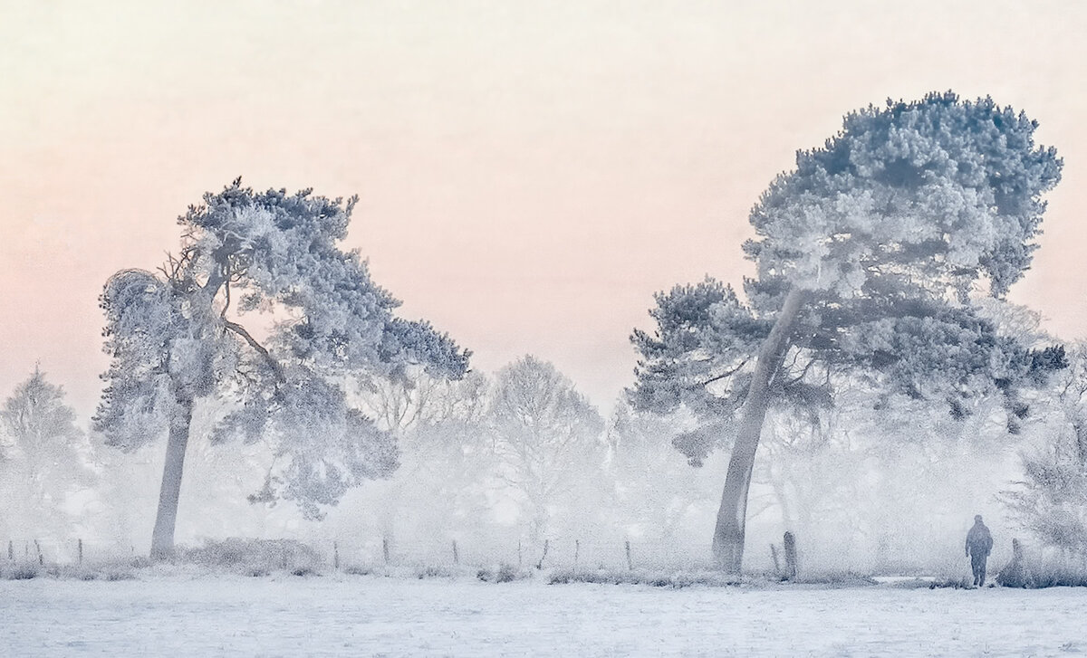 Untitled_Panorama2 cropped soft best May 2019 from laptop (6).jpg