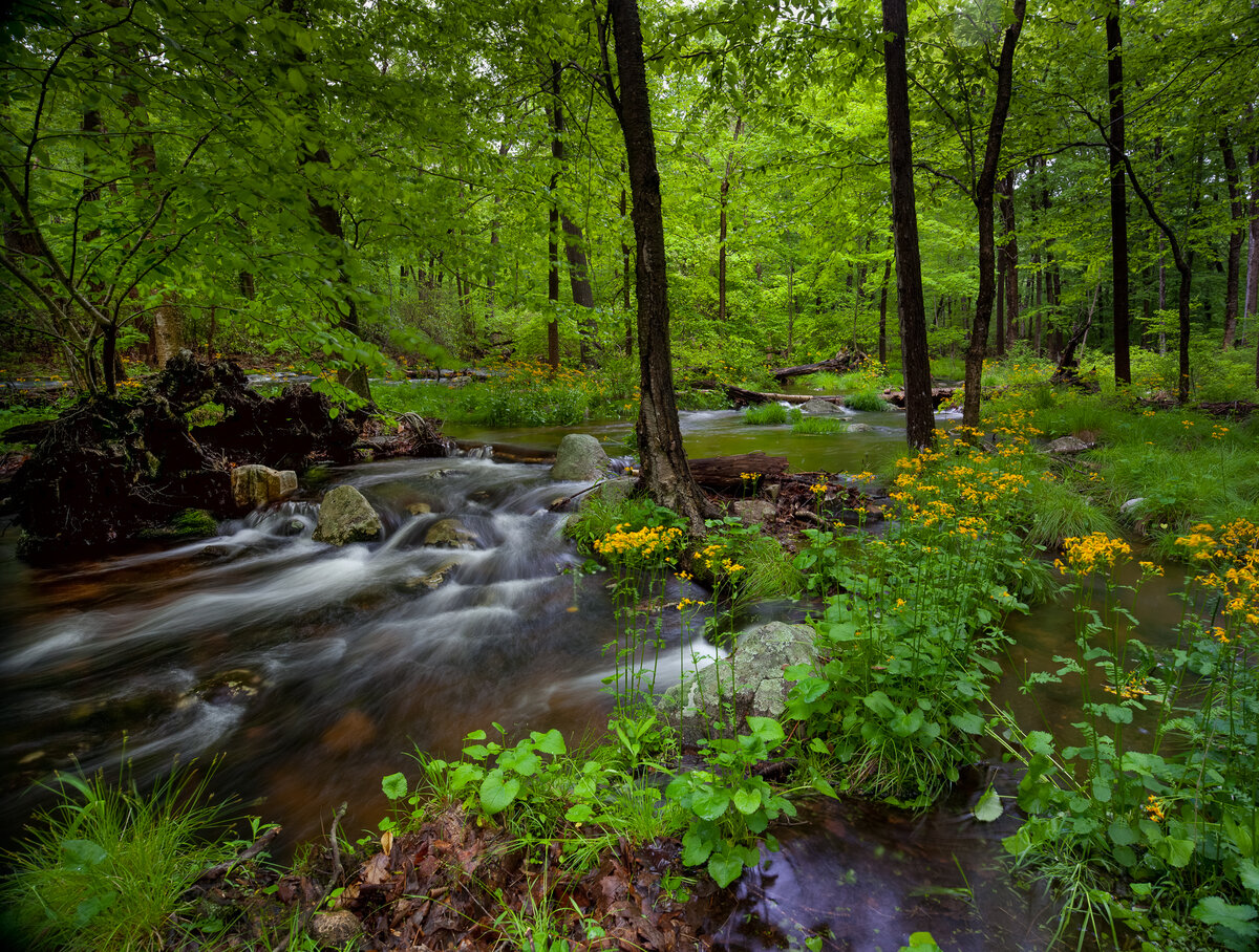 Untitled_Panorama6-2.jpg