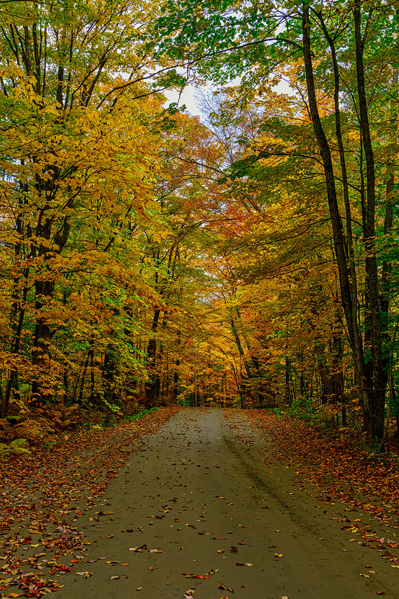 vermont road.jpg