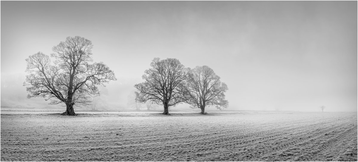 very Final_DSC5285-Pano-1 CROPPED mono 3 final v2 copy for printing MIST 3 flat.jpg