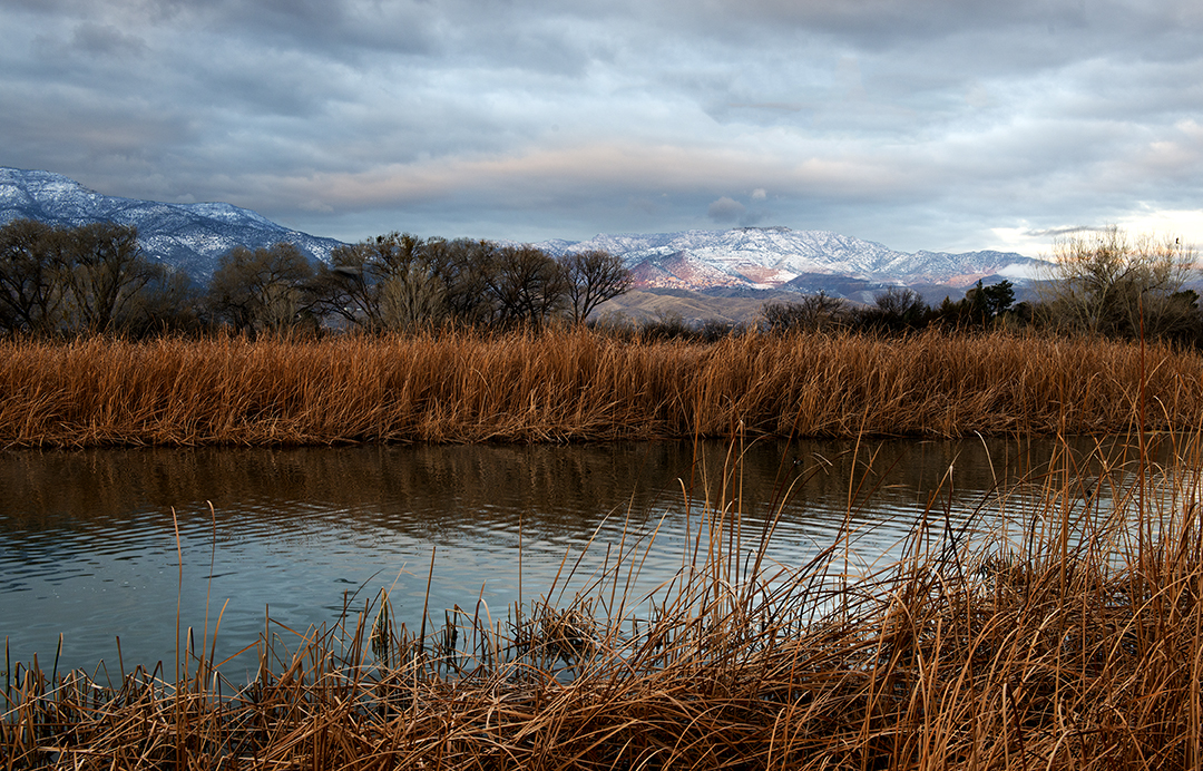 View of Mingus Mountain.jpg