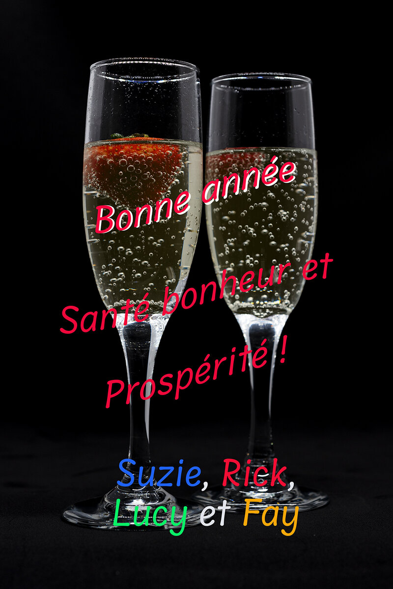 voeux_generiqueS.jpg