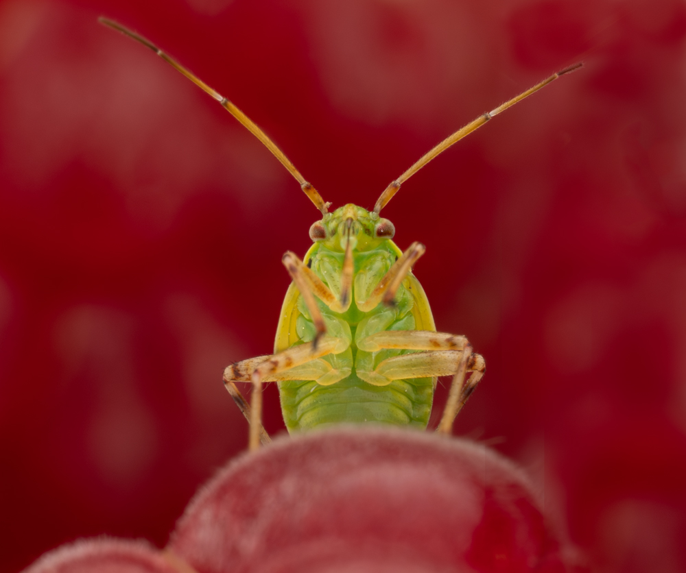 W1010580-Edit.jpg