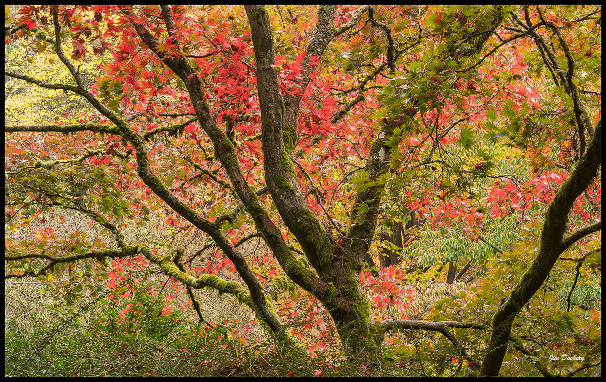WA-Arboretum29-(2).jpg