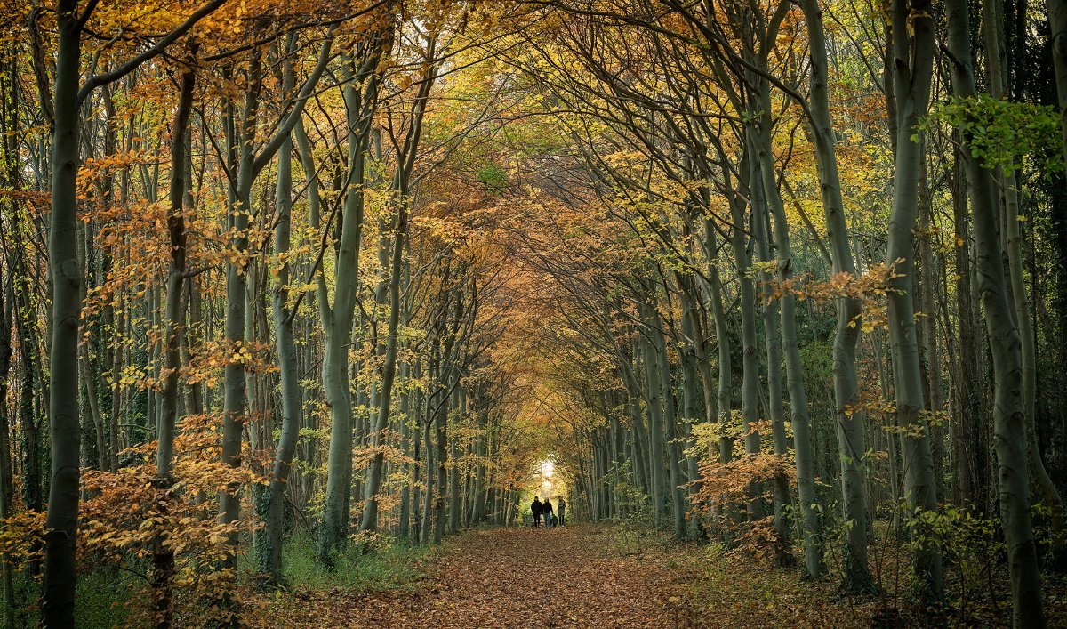 wandlebury a.jpg