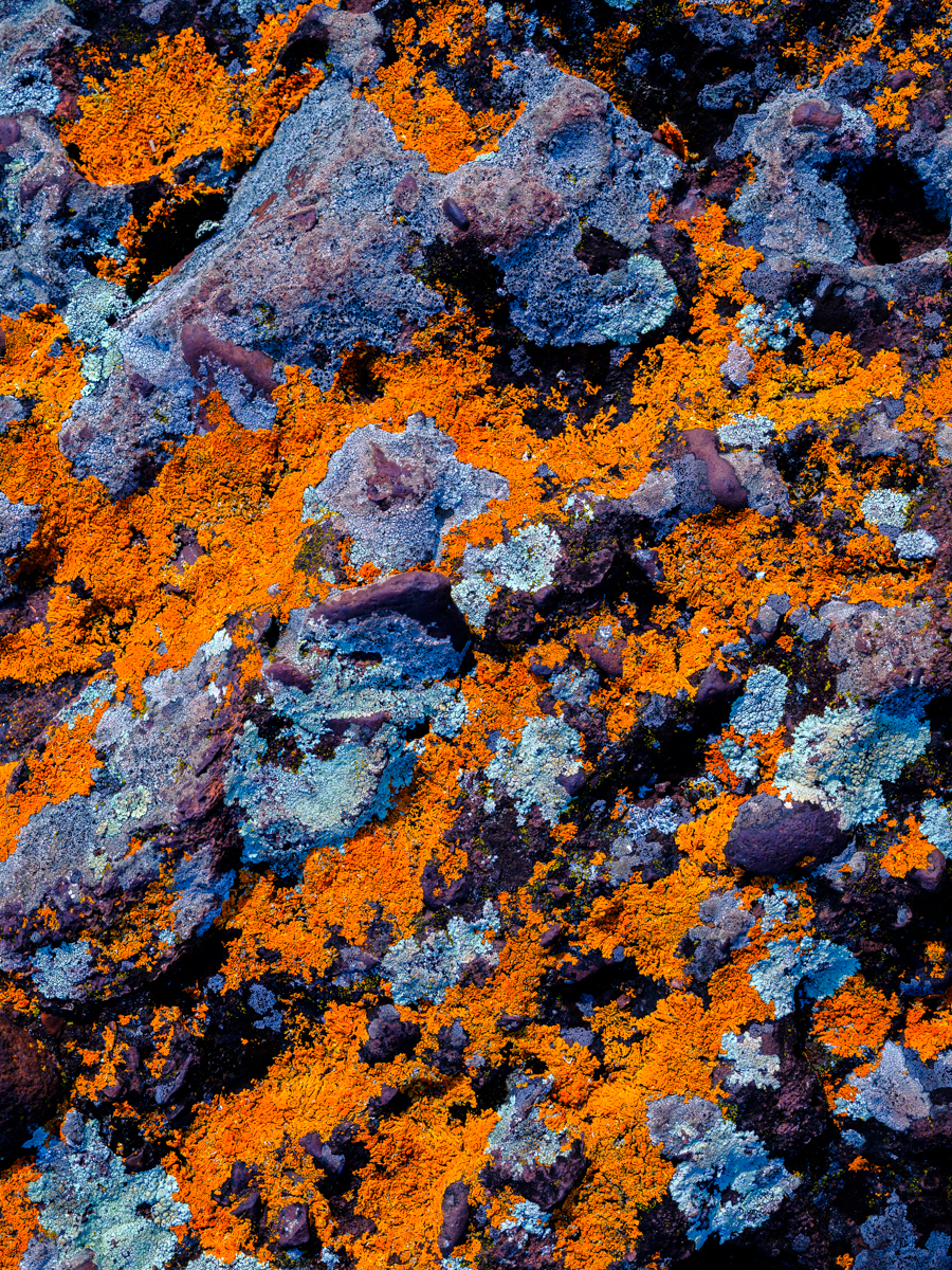 water-3.jpg