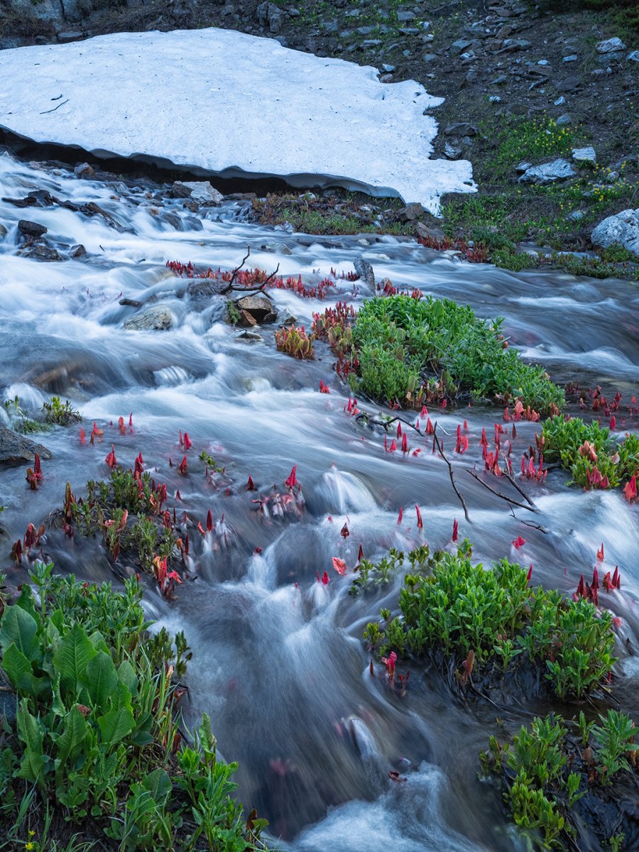 water-under-the-bridge-Snowies.jpg