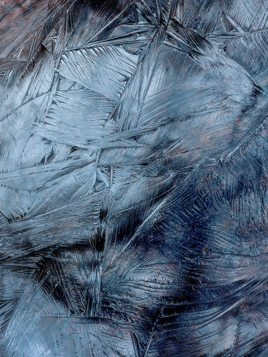 Wharton_Ice-3.jpg