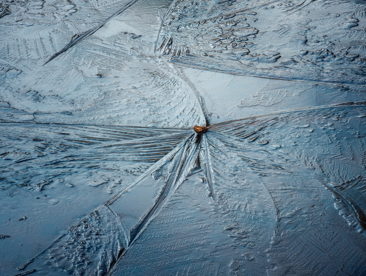 Wharton_Ice-4.jpg