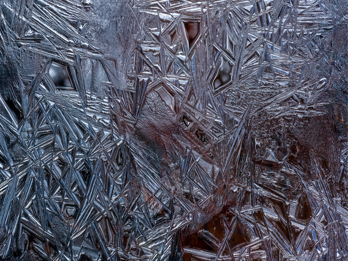 Wharton_Ice-5.jpg