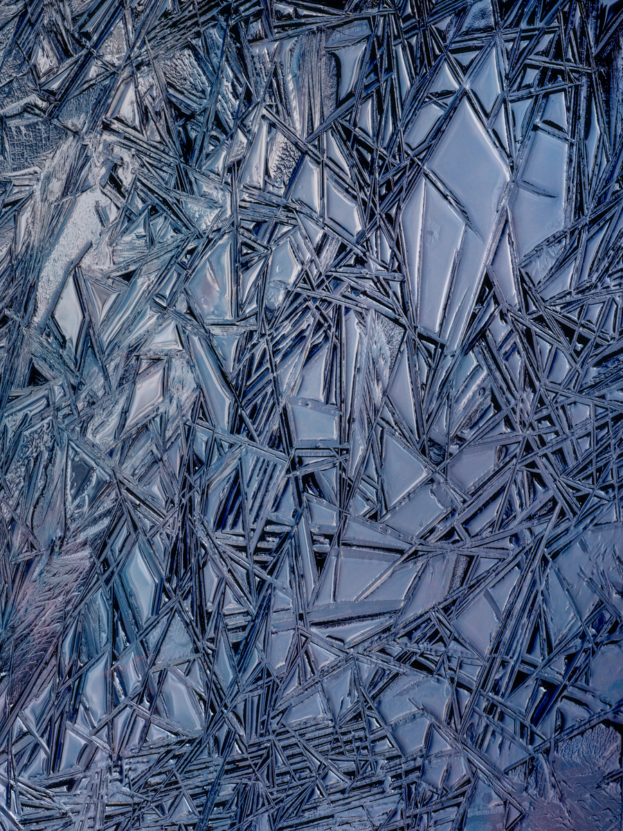Wharton_Ice.jpg
