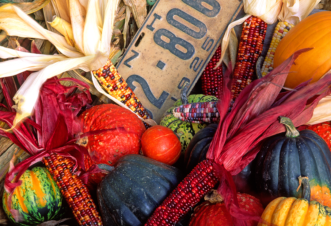 wheelbarrow packed with fall goodies.jpg
