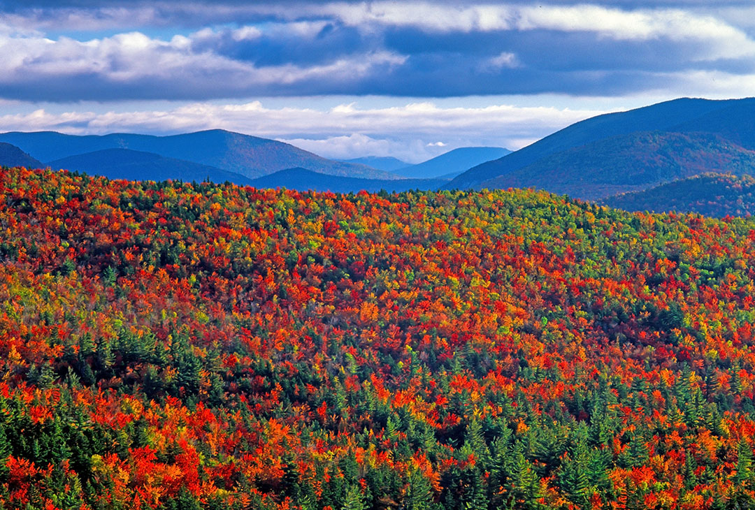 White Mountains.jpg